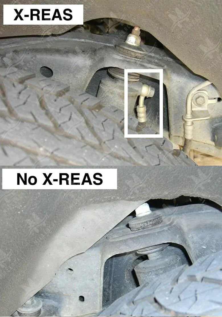 Toyota 4Runner 2014-2024 Cat Shield - Miller CAT Corp