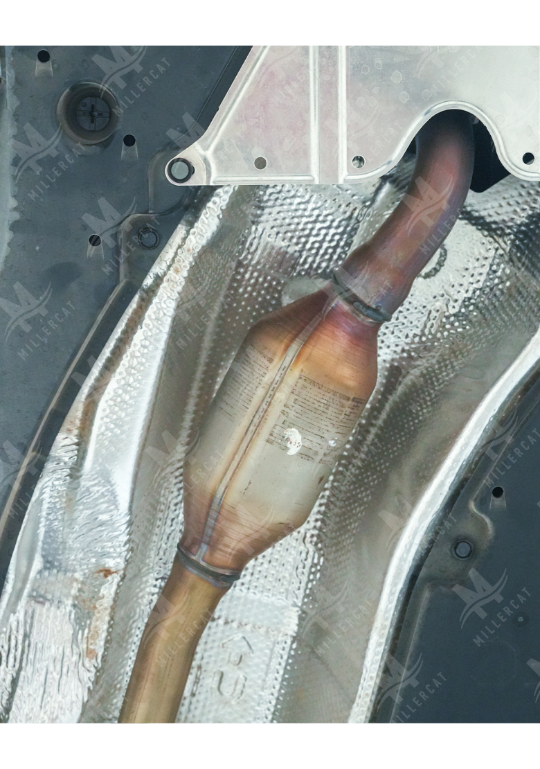 Toyota RAV4 Hybrid 2026 Cat Shield