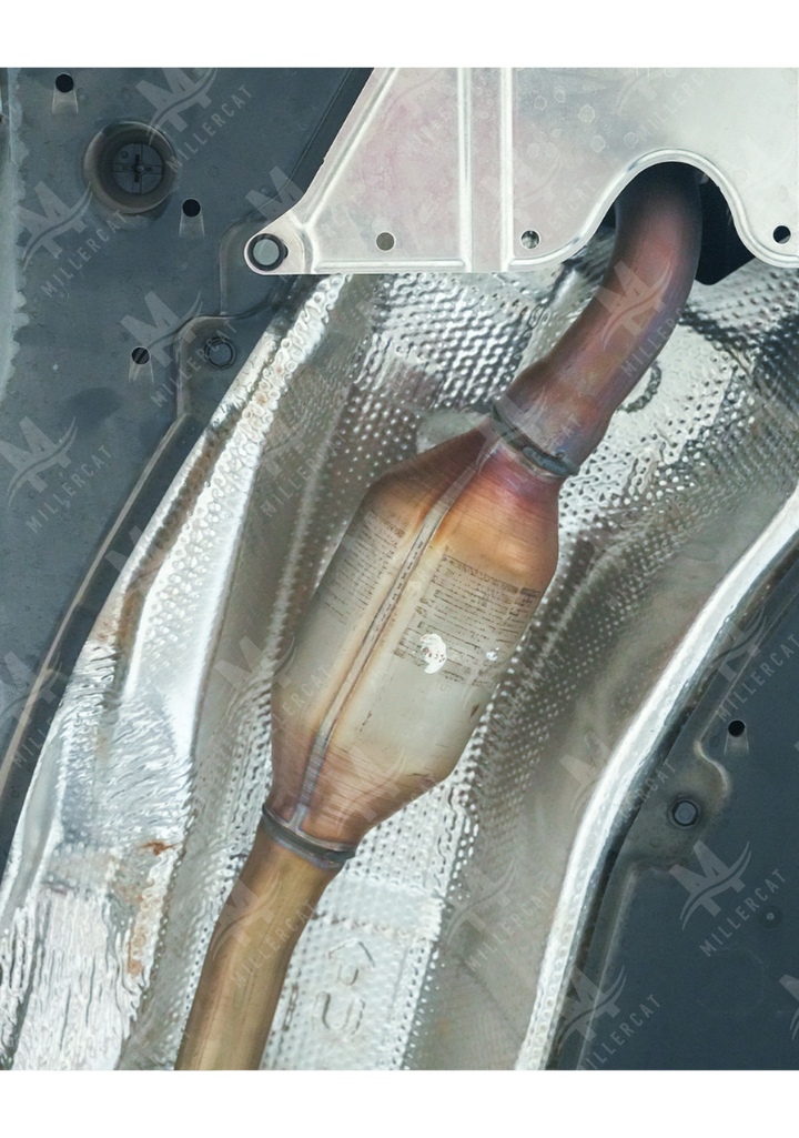 Toyota RAV4 Hybrid 2026 Cat Shield