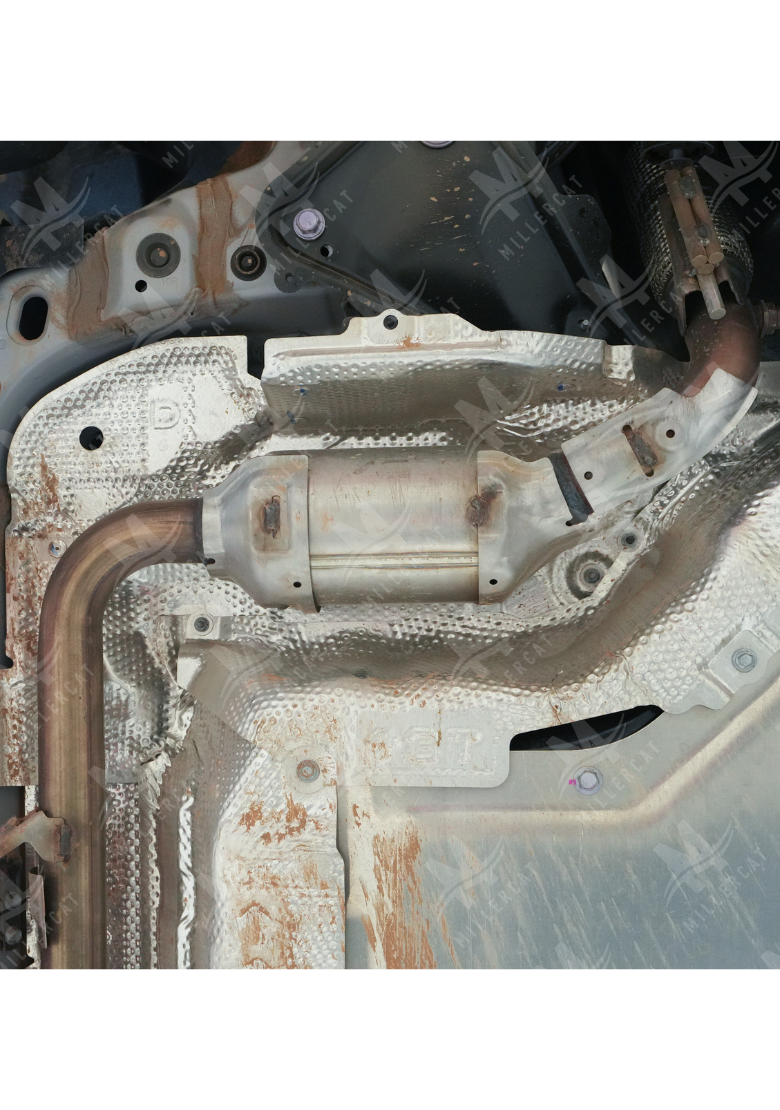 Toyota RAV4 PHEV 2026 Cat Shield
