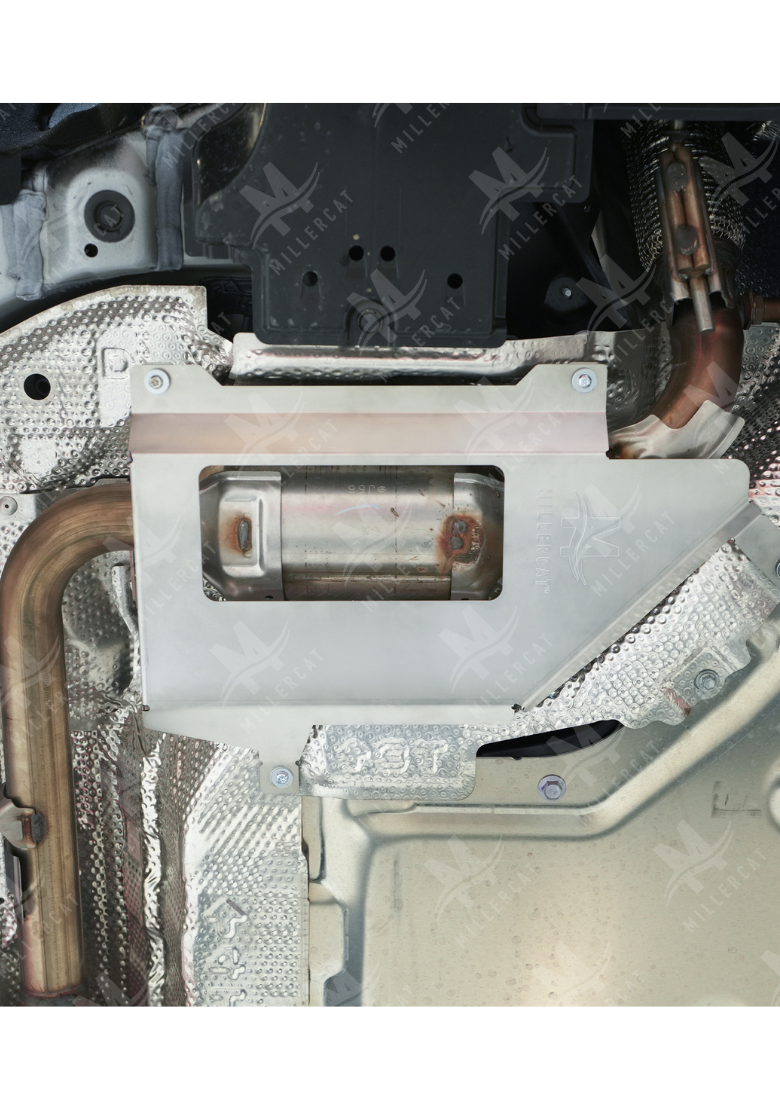 Toyota RAV4 PHEV 2026 Cat Shield